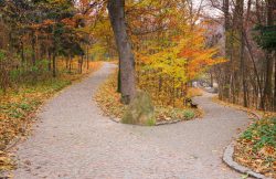 Furcation of the road in autumnal Sofiyivsky Park in Uman, Ukraine